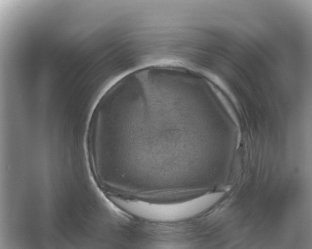 X0000066950959200604071935