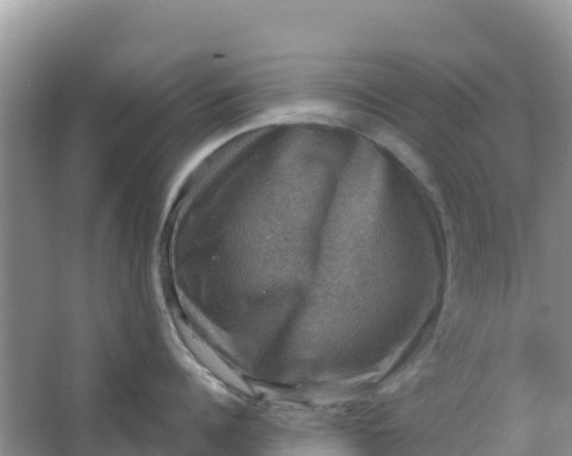 X0000066950960200604071935