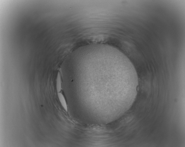 X0000066950962200604071934