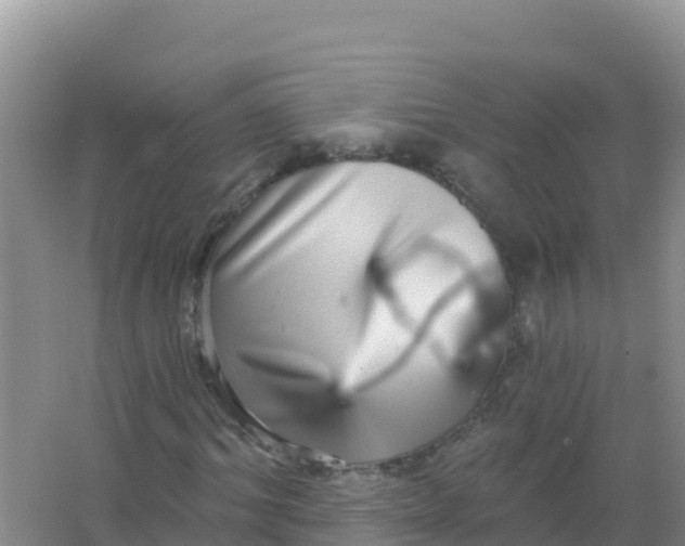 X0000066950964200604071934