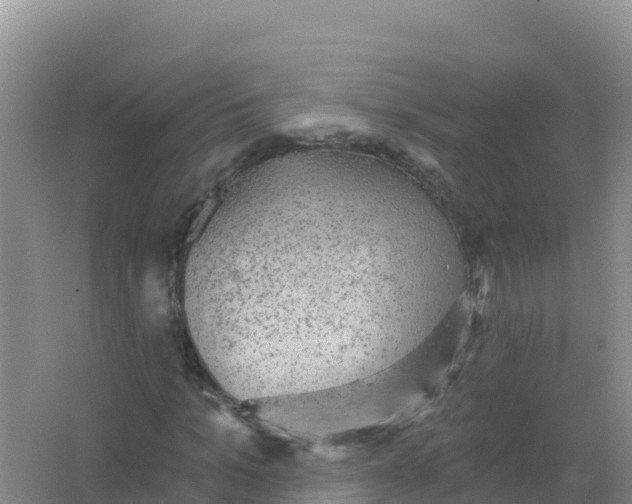 X0000066950965200604071934