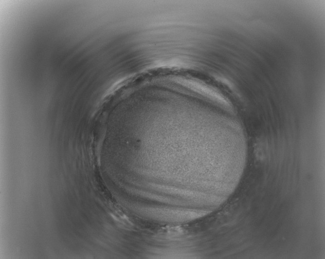 X0000066950968200604071934