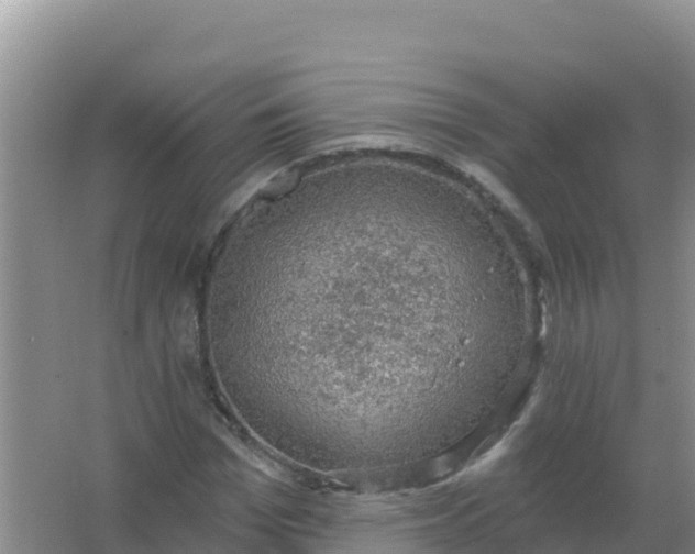 X0000066950969200604071934