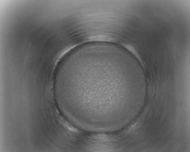 X0000066950971200604071934