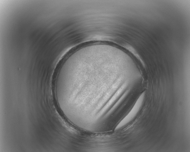 X0000066950972200604071934