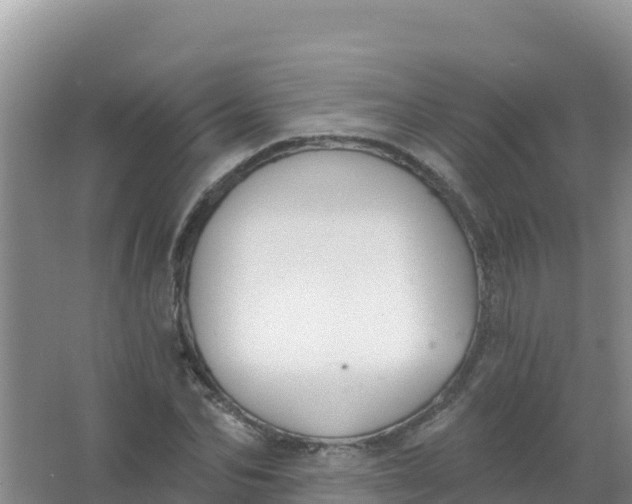 X0000066950974200604071934