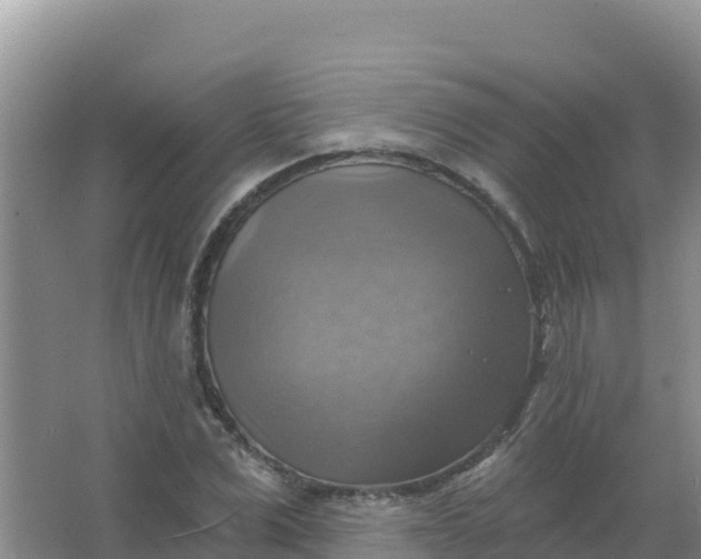 X0000066950975200604071934