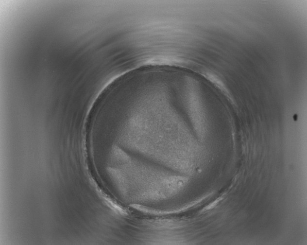 X0000066950976200604071934