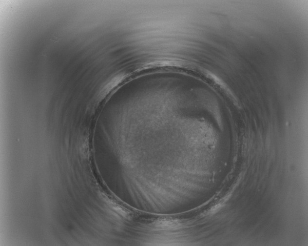 X0000066950977200604071934