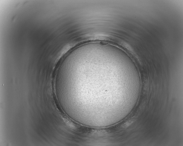 X0000066950978200604071934