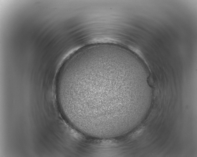 X0000066950979200604071934