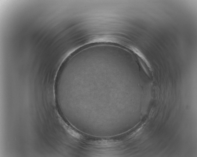 X0000066950980200604071934