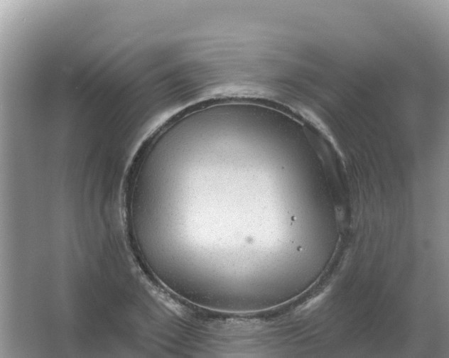 X0000066950981200604071934