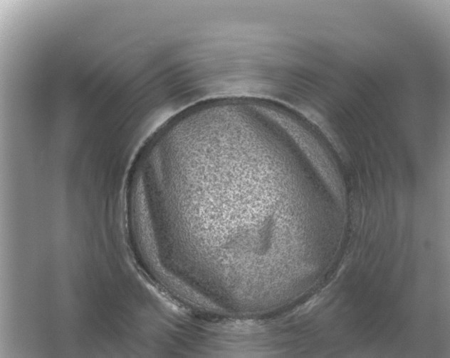 X0000066950982200604071934