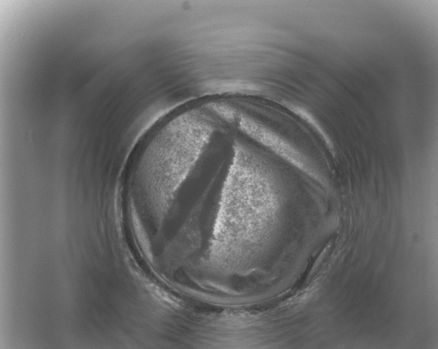 X0000066950983200604071934