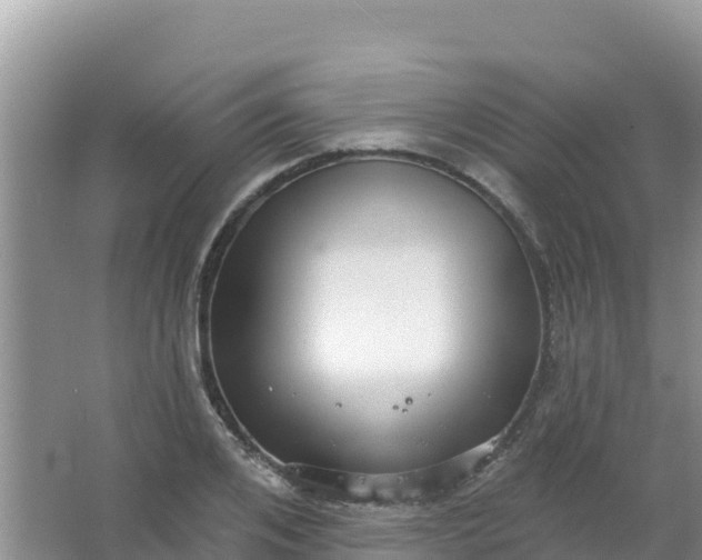 X0000066950984200604071934