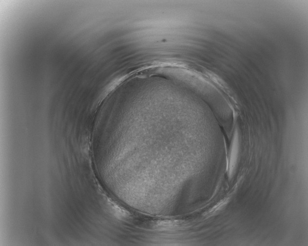 X0000066950985200604071934