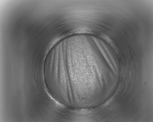 X0000066950986200604071934