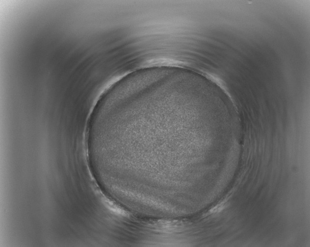 X0000066950987200604071934