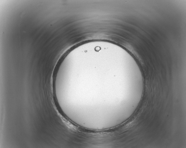 X0000066950988200604071934