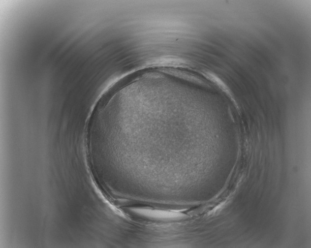 X0000066950989200604071934