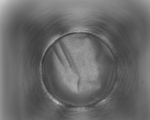 X0000066950990200604071934