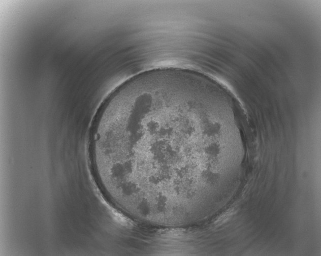 X0000066950991200604071934