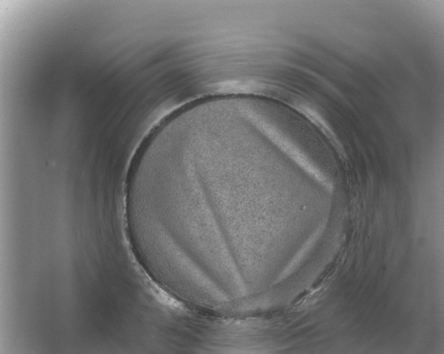 X0000066950992200604071934