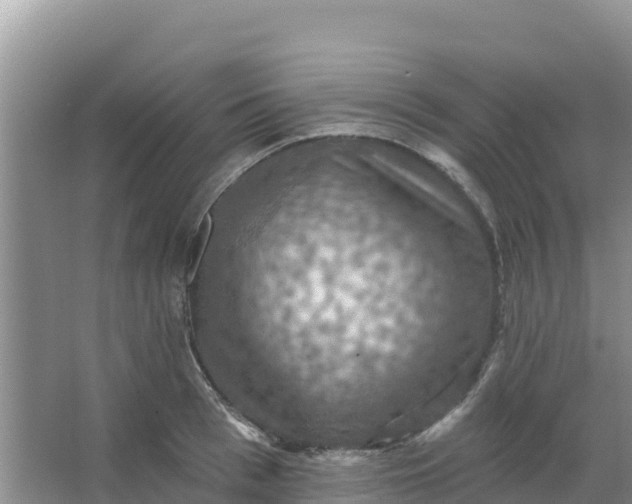 X0000066950993200604071934