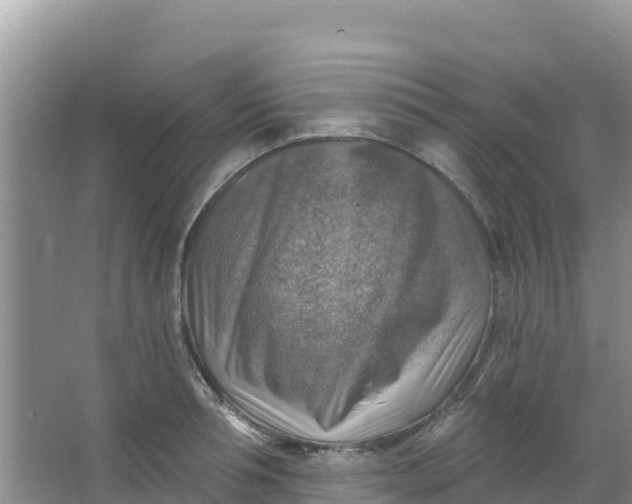 X0000066950994200604071934