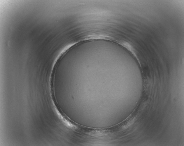 X0000066950995200604071934