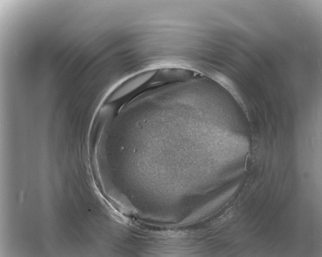 X0000066950996200604071934