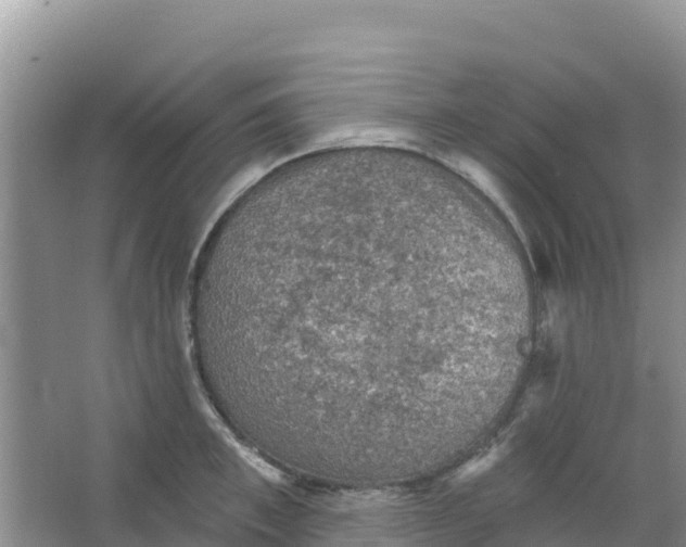 X0000066950997200604071934