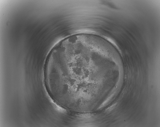 X0000066950999200604071933