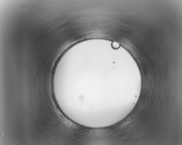 X0000066951000200604071933