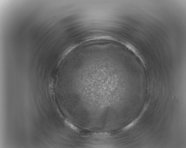 X0000066951001200604071933