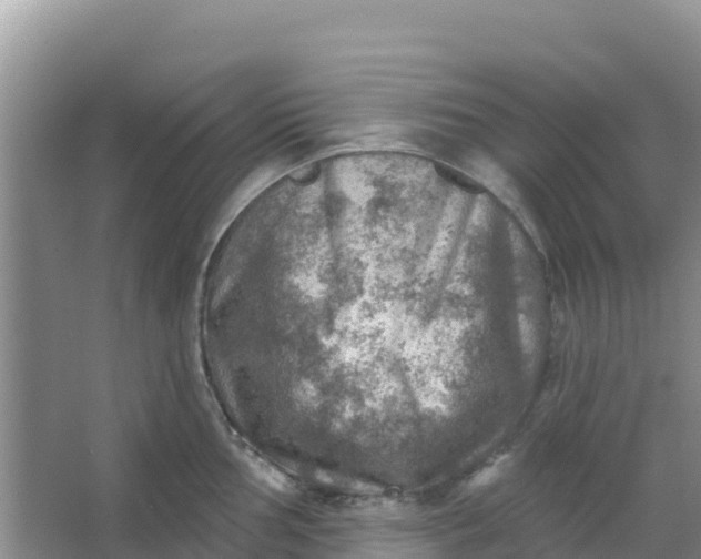 X0000066951002200604071933