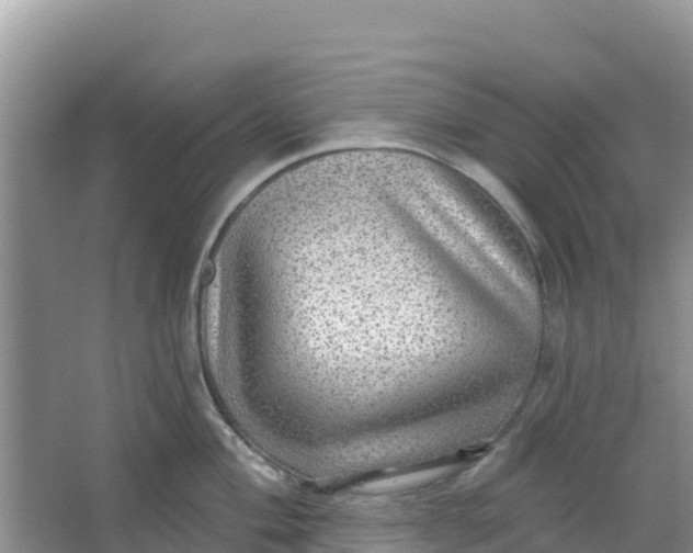 X0000066951004200604071933