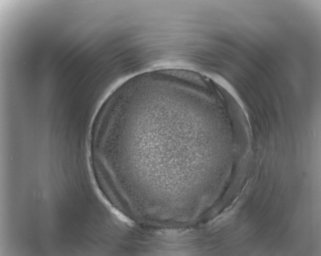 X0000066951005200604071933