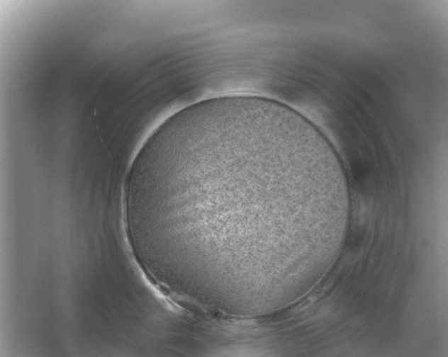 X0000066951006200604071933