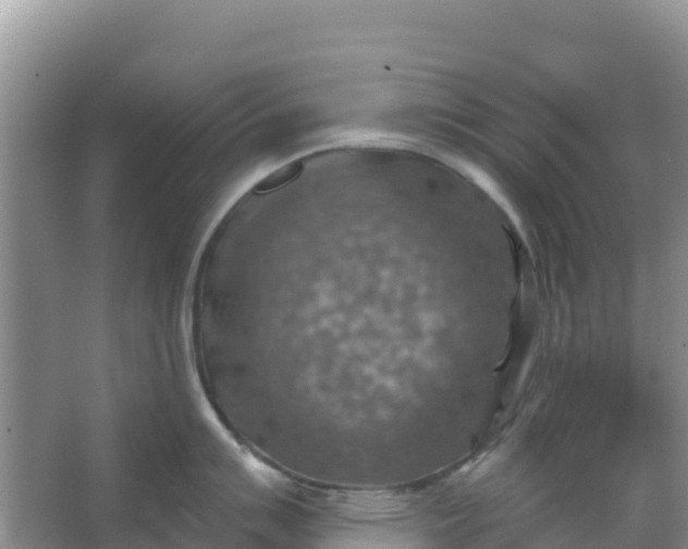 X0000066951007200604071933