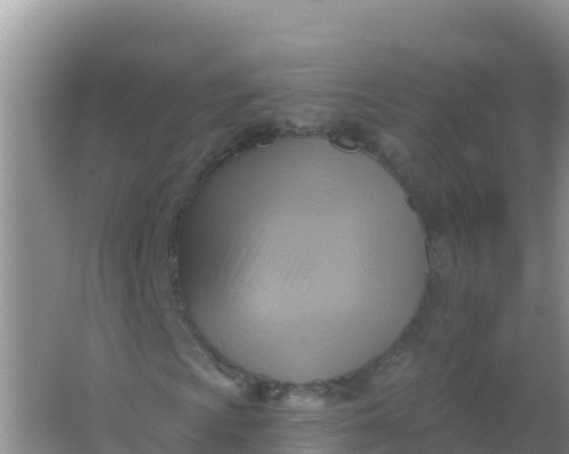 X0000066951009200604071933