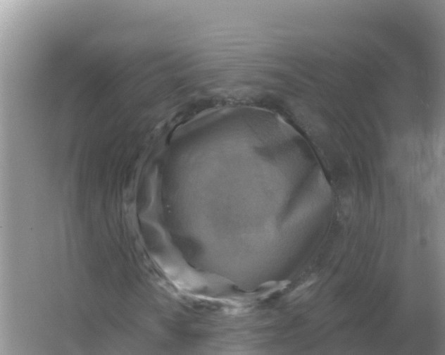 X0000066951010200604071933