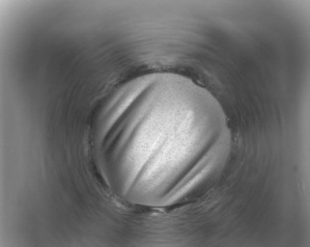 X0000066951012200604071933