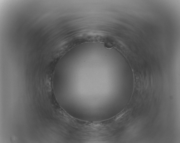 X0000066951013200604071933