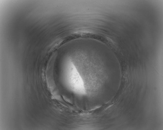 X0000066951014200604071933