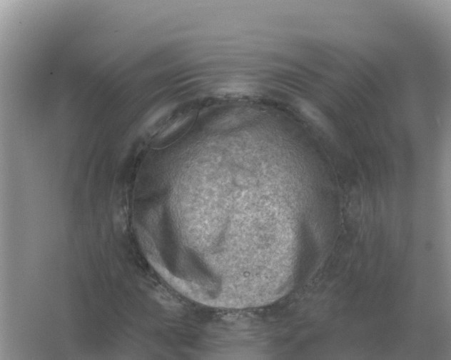 X0000066951015200604071933