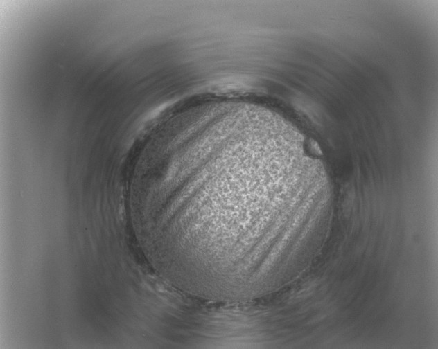 X0000066951016200604071933