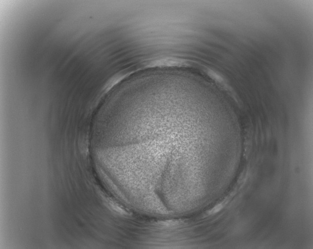 X0000066951017200604071933