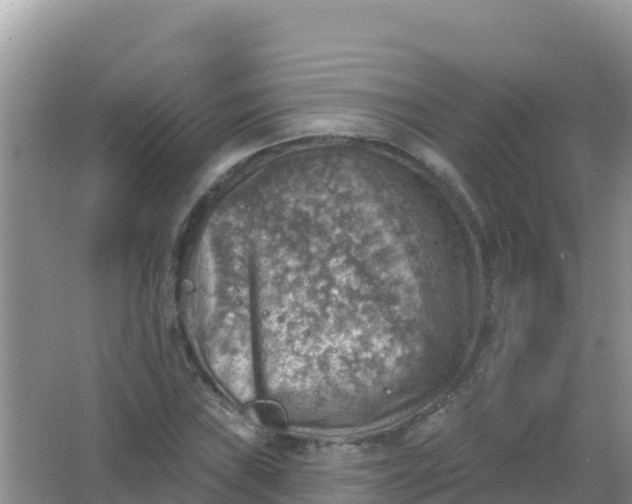 X0000066951019200604071933